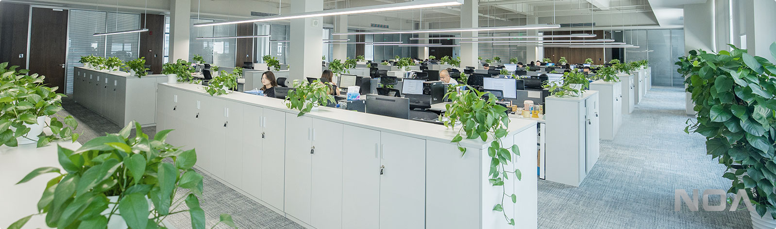 香港老牌印刷图源图库