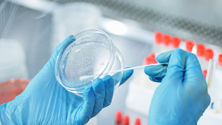 香港老牌印刷图源图库