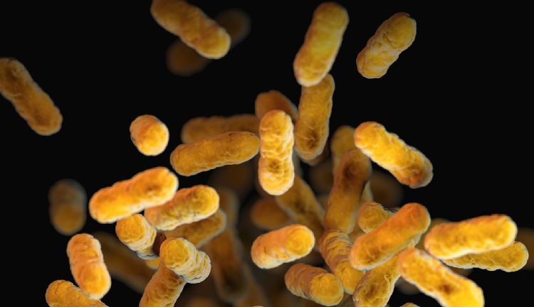 香港老牌印刷图源图库