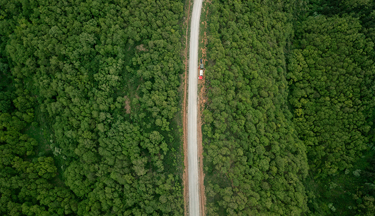 香港老牌印刷图源图库