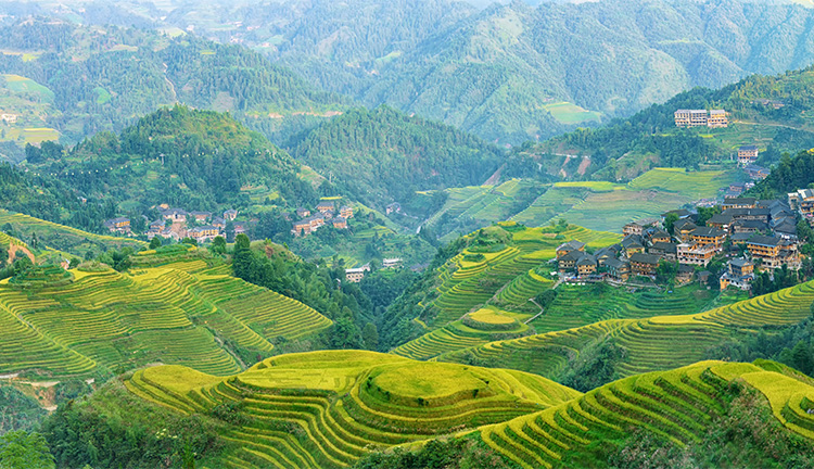 香港老牌印刷图源图库