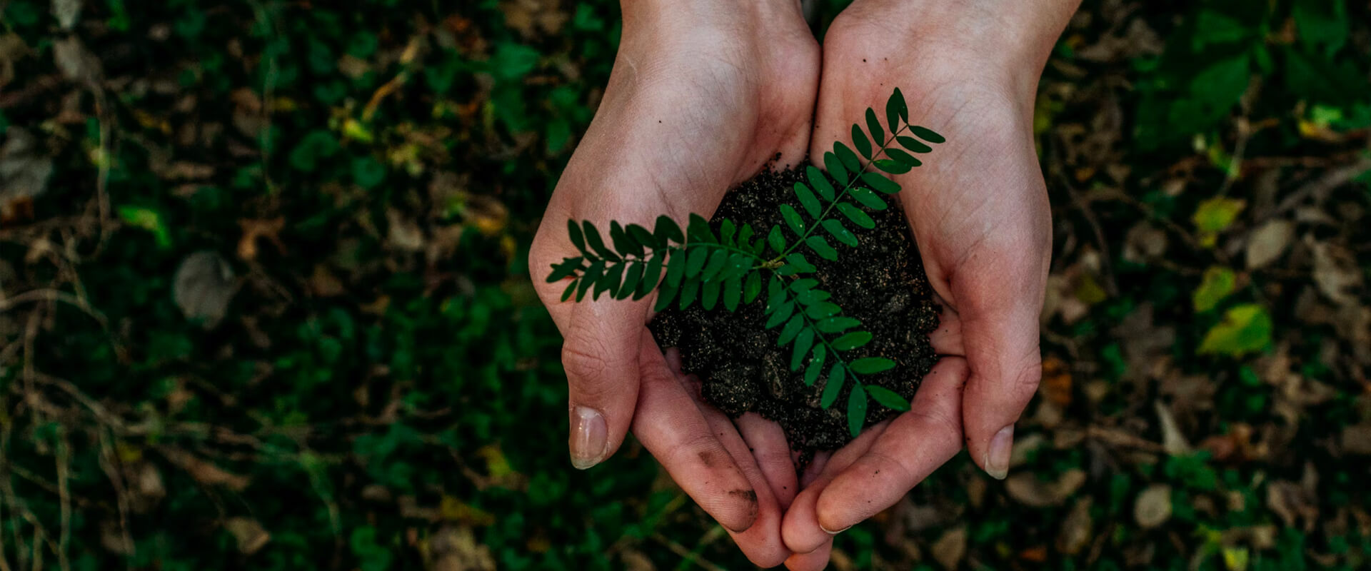 香港老牌印刷图源图库