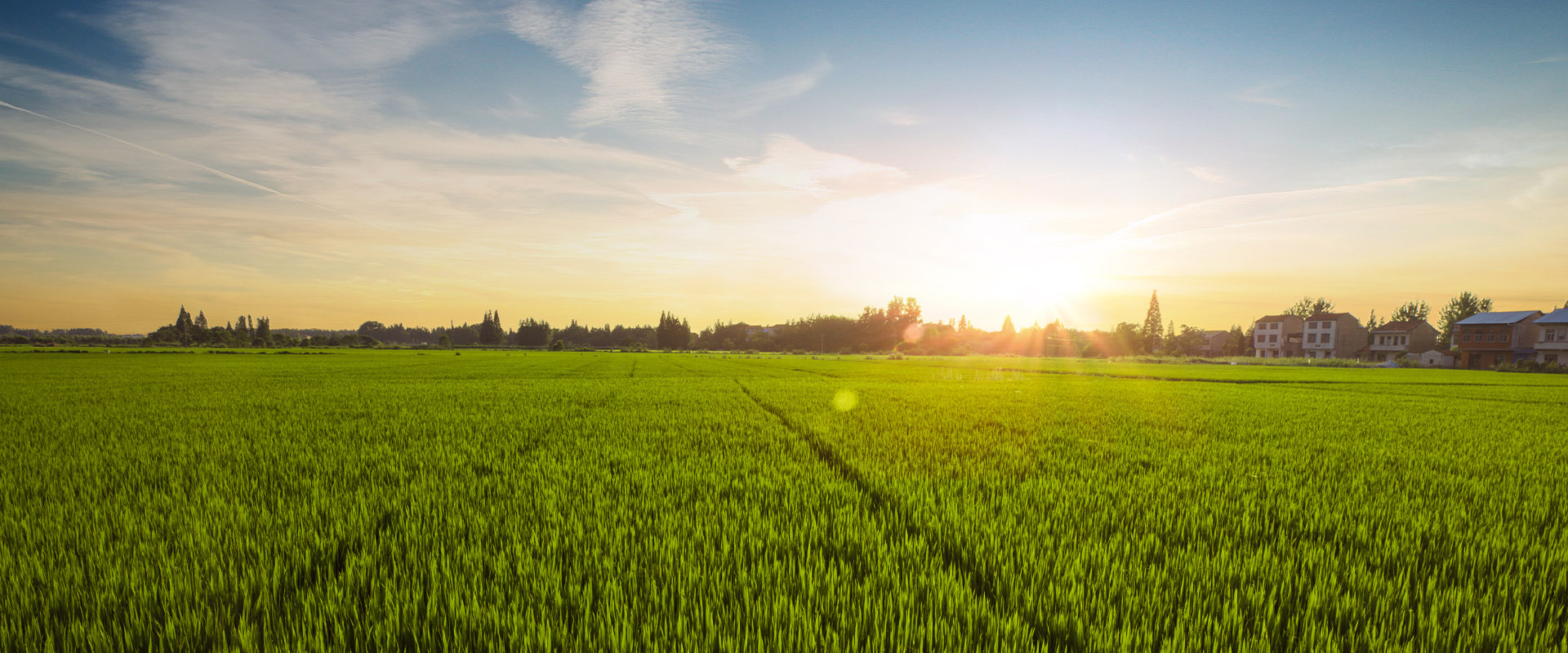香港老牌印刷图源图库