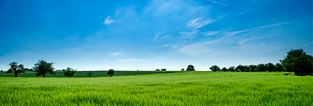 SBTi Science Carbon Targets Service