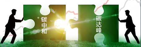 Carbon Peak Carbon Neutral Action Plan/Pilot Plan Preparation