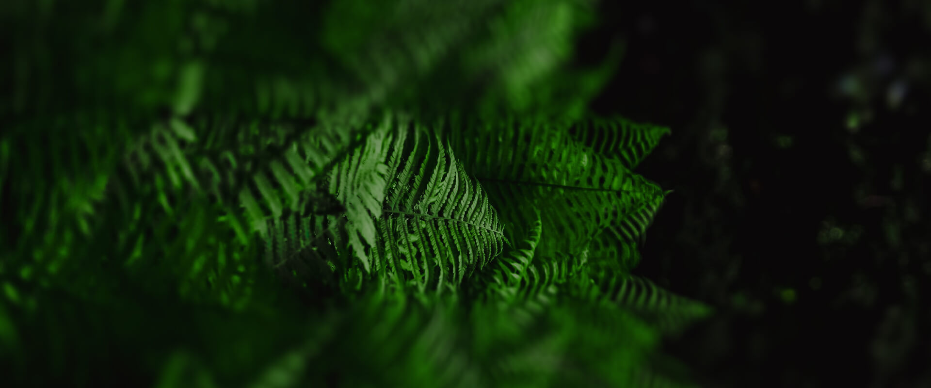 香港老牌印刷图源图库