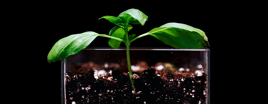 香港老牌印刷图源图库