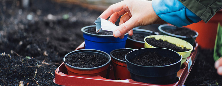 香港老牌印刷图源图库