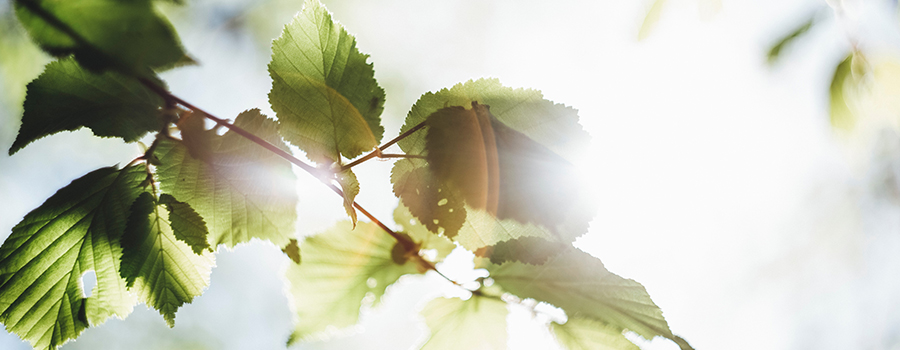 香港老牌印刷图源图库