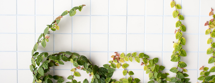 香港老牌印刷图源图库