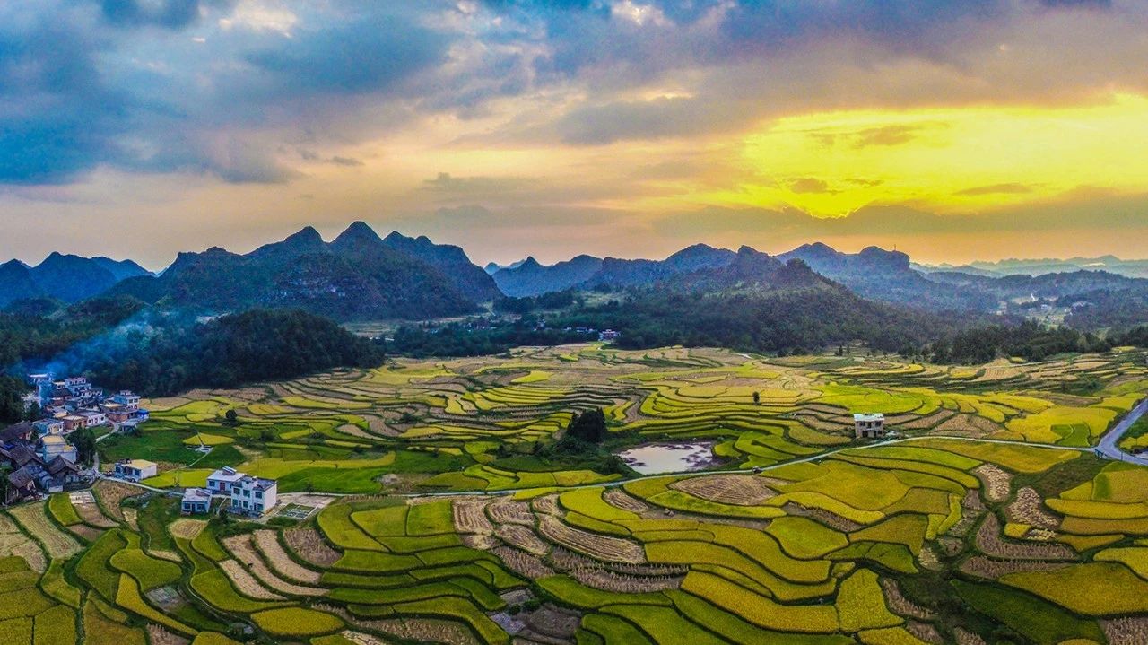 香港老牌印刷图源图库
