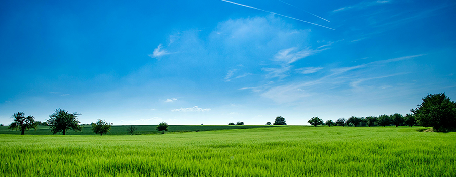 香港老牌印刷图源图库