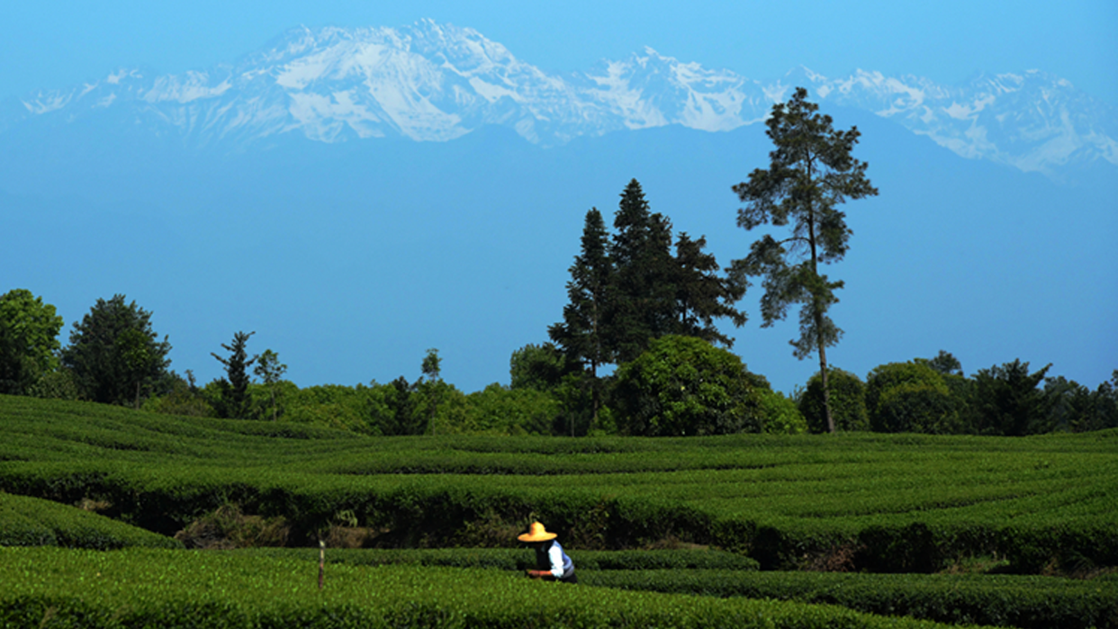 香港老牌印刷图源图库