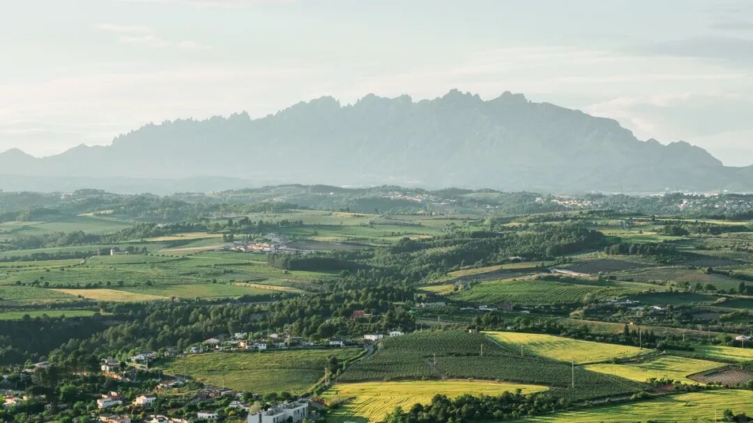 香港老牌印刷图源图库
