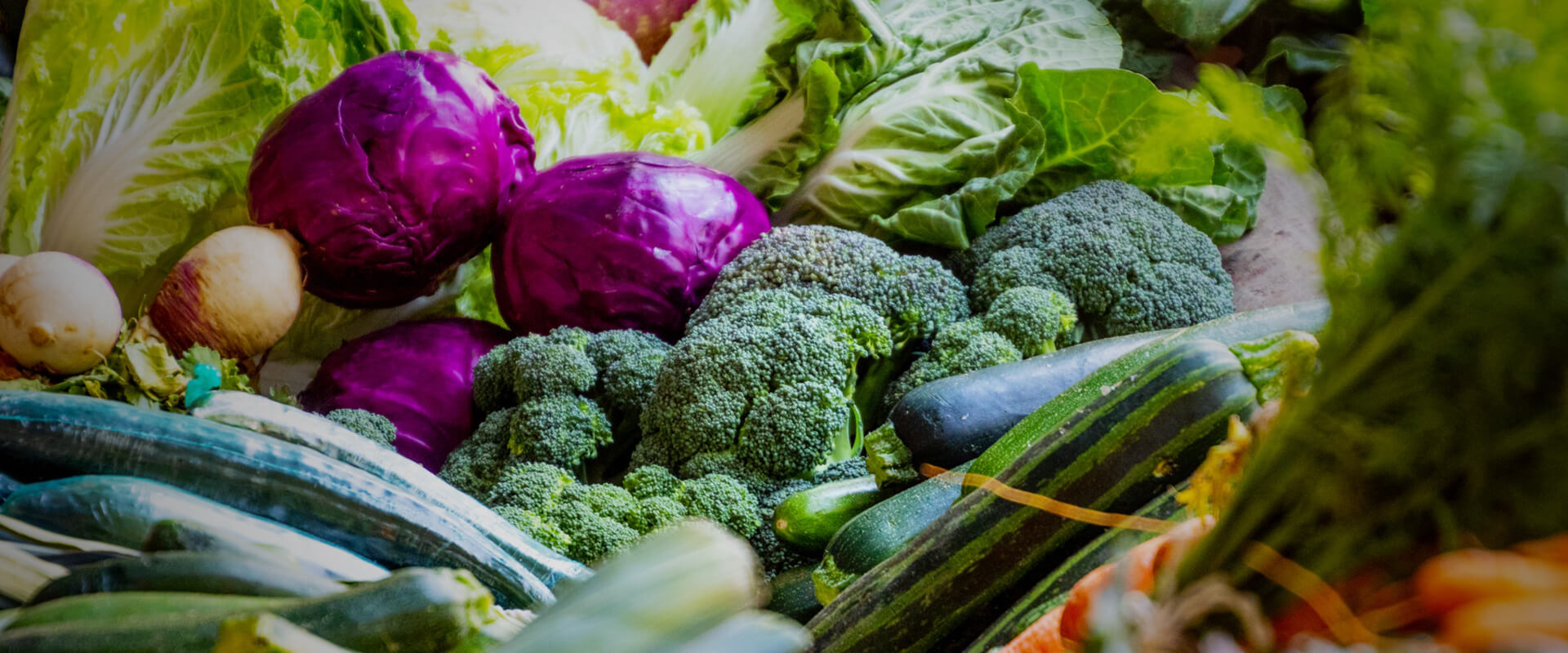 香港老牌印刷图源图库