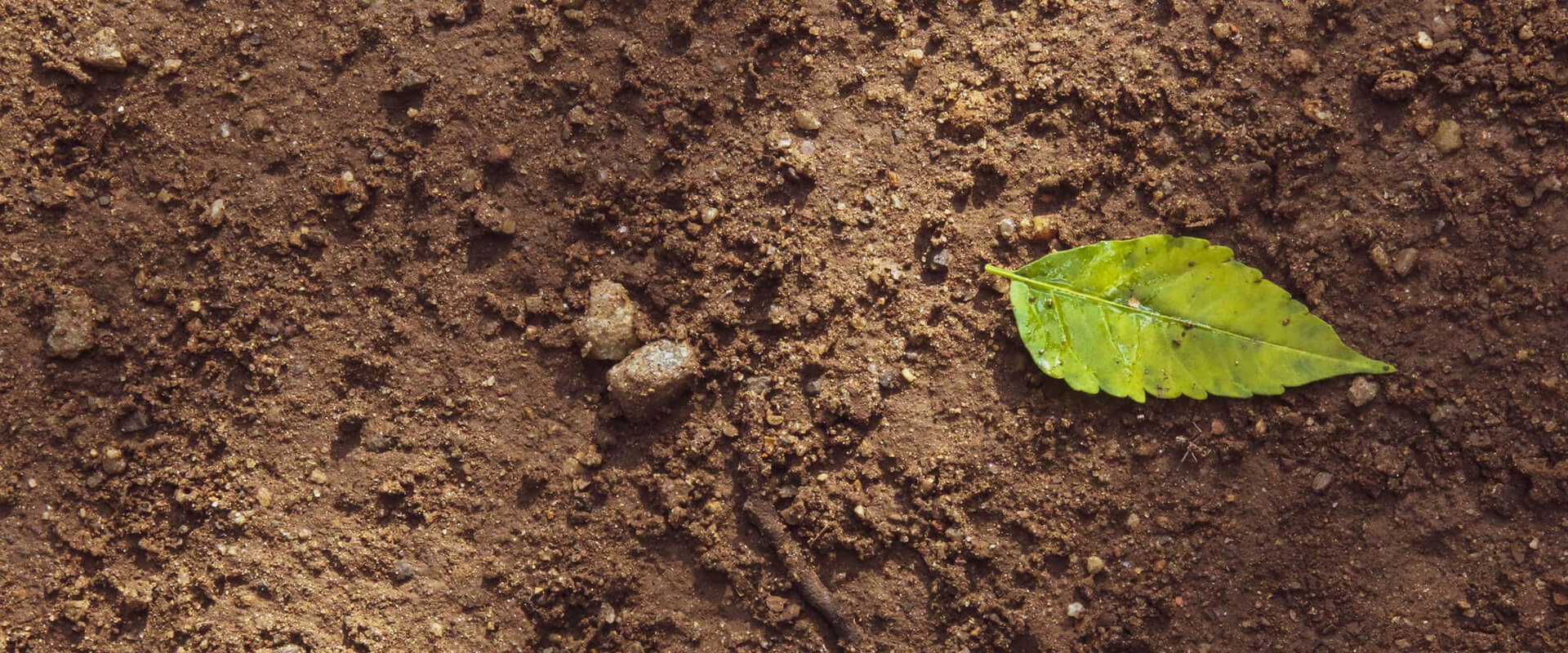 香港老牌印刷图源图库