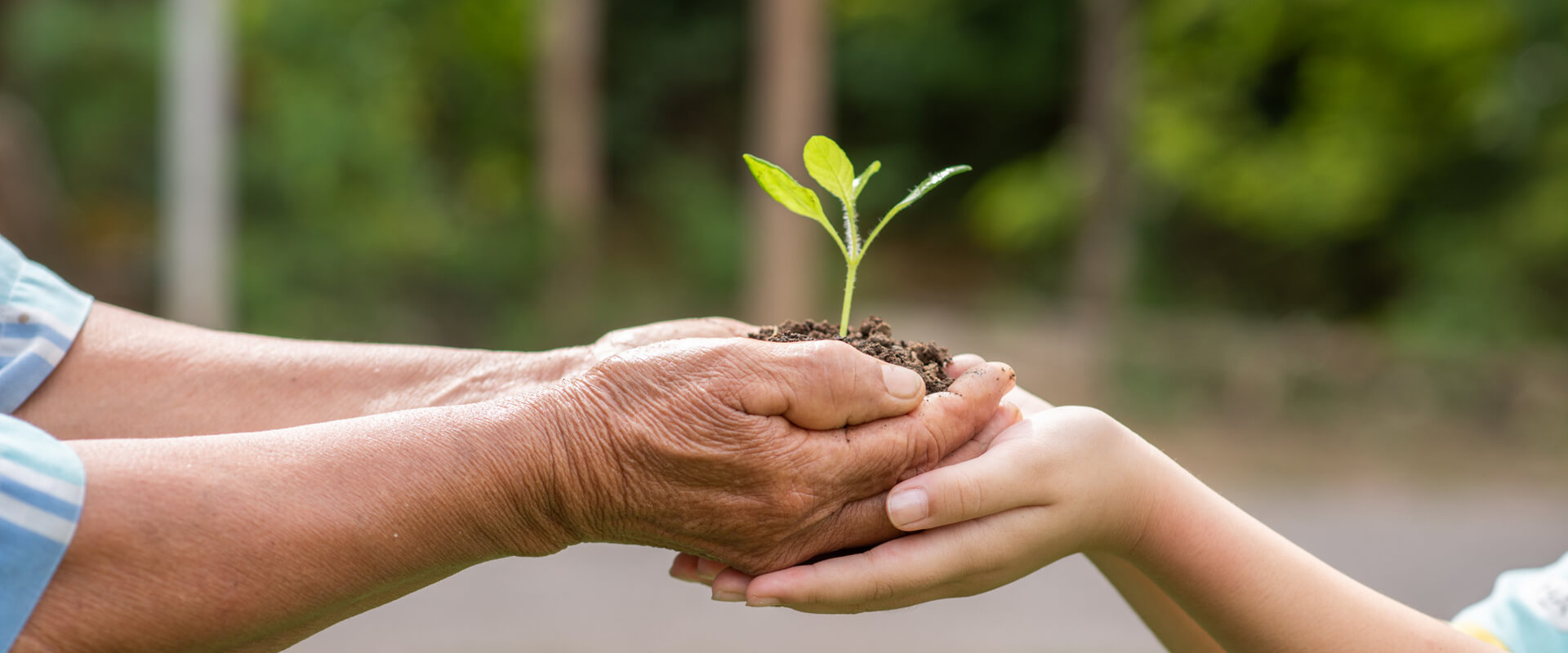 香港老牌印刷图源图库