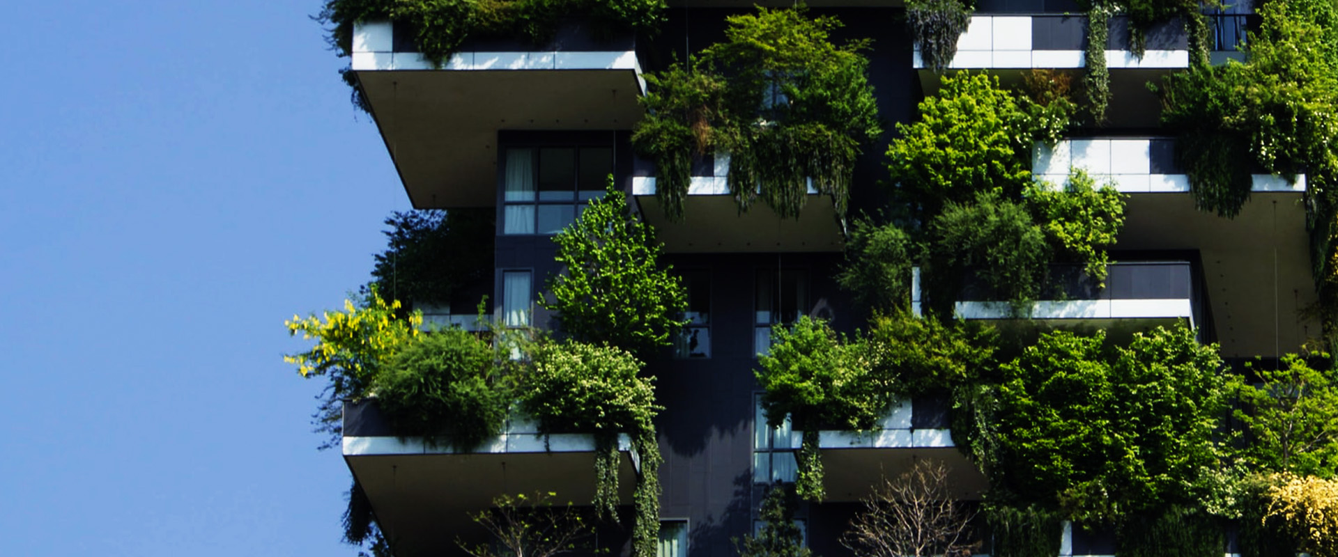 香港老牌印刷图源图库