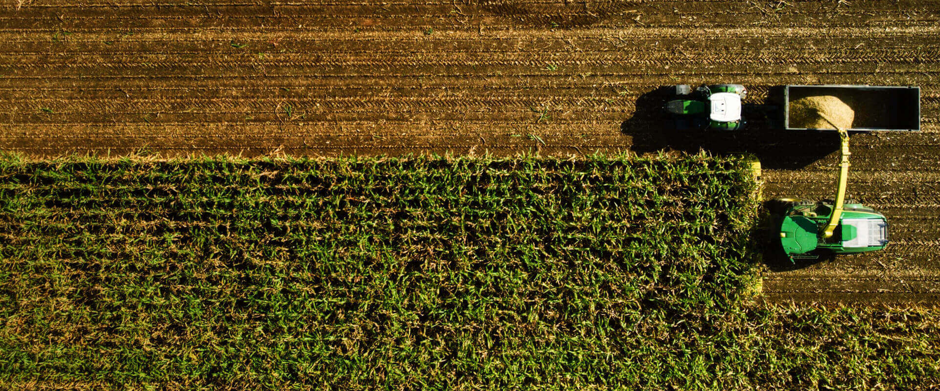 香港老牌印刷图源图库