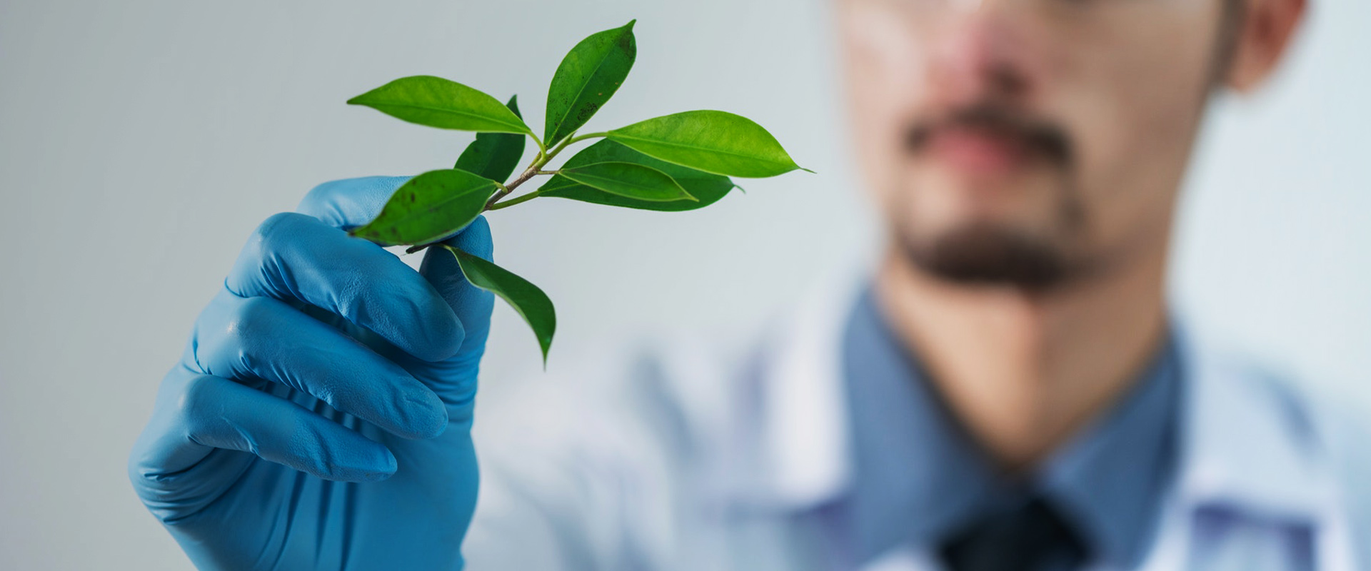 香港老牌印刷图源图库