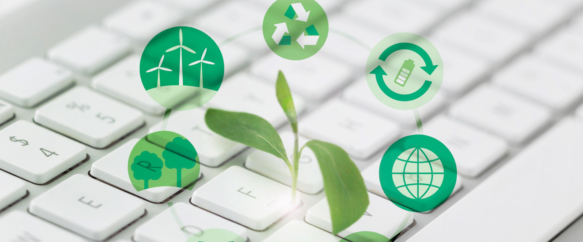 香港老牌印刷图源图库