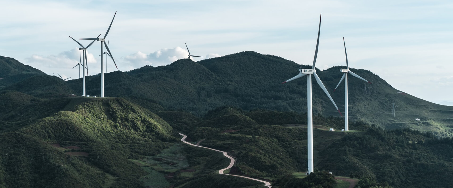 香港老牌印刷图源图库