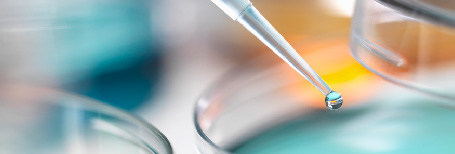 电子/常规化学品检测